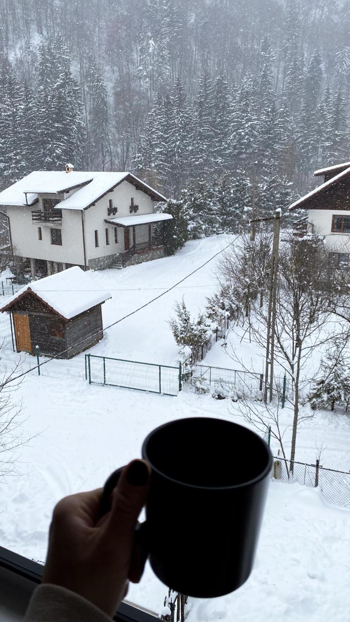 Queen'S Heart Guesthouse Bran  Dış mekan fotoğraf
