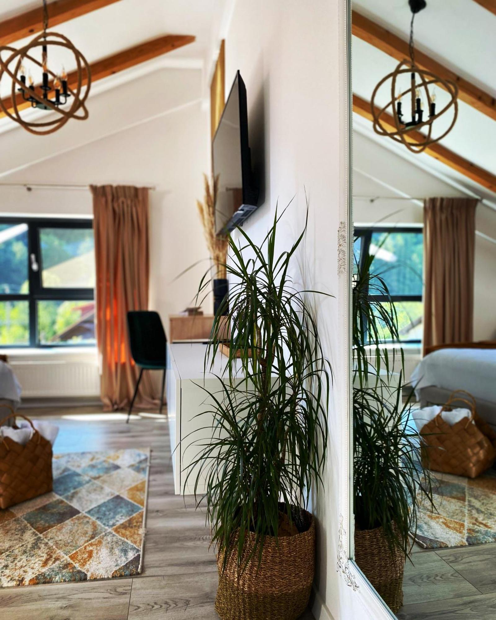 Queen'S Heart Guesthouse Bran  Dış mekan fotoğraf