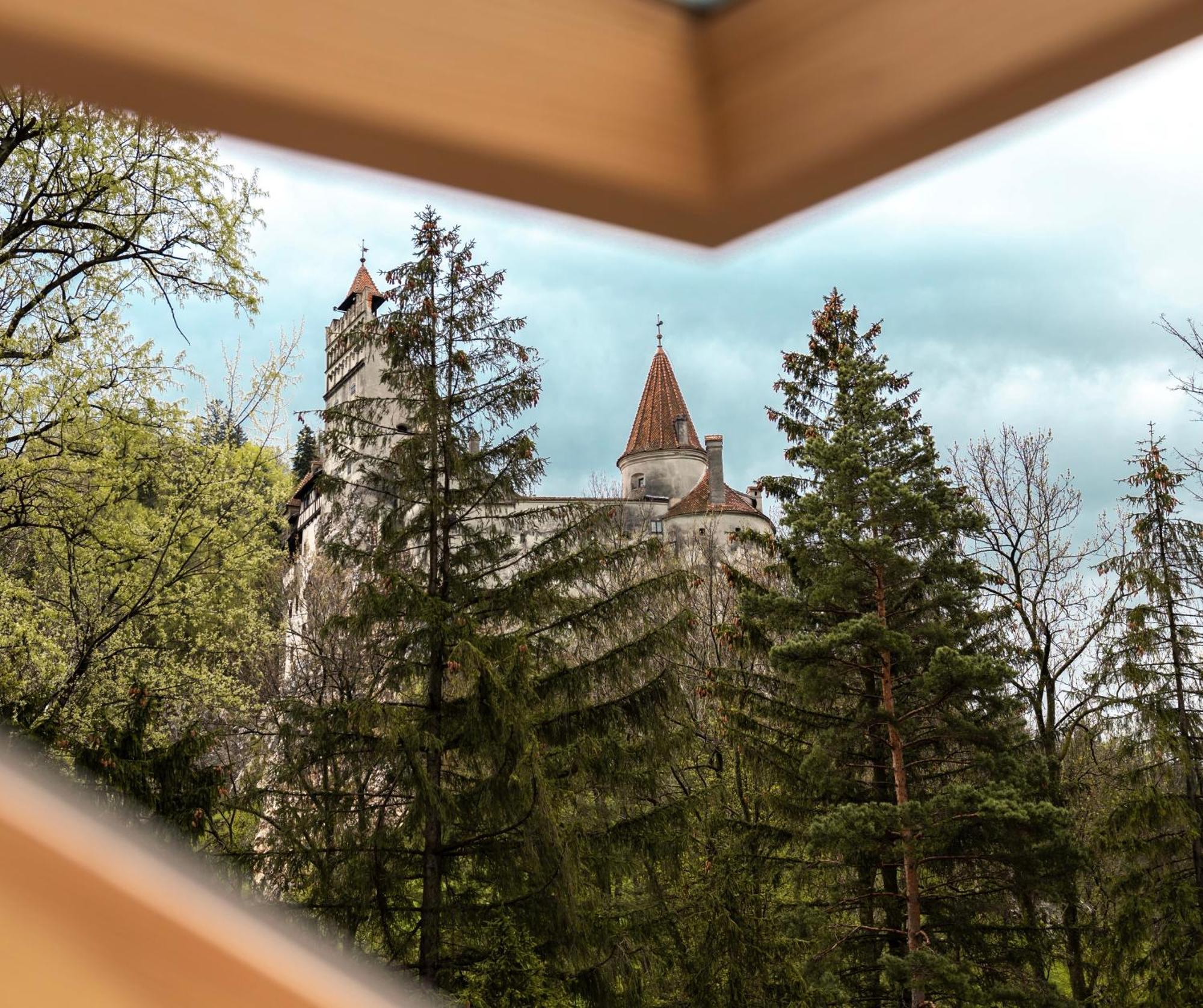 Queen'S Heart Guesthouse Bran  Dış mekan fotoğraf